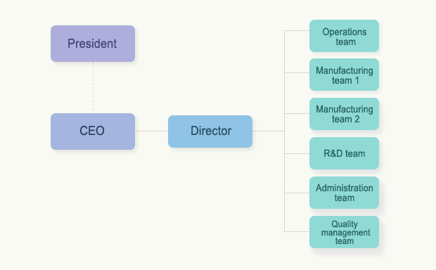 Organizational Chart of Seoan Electronics